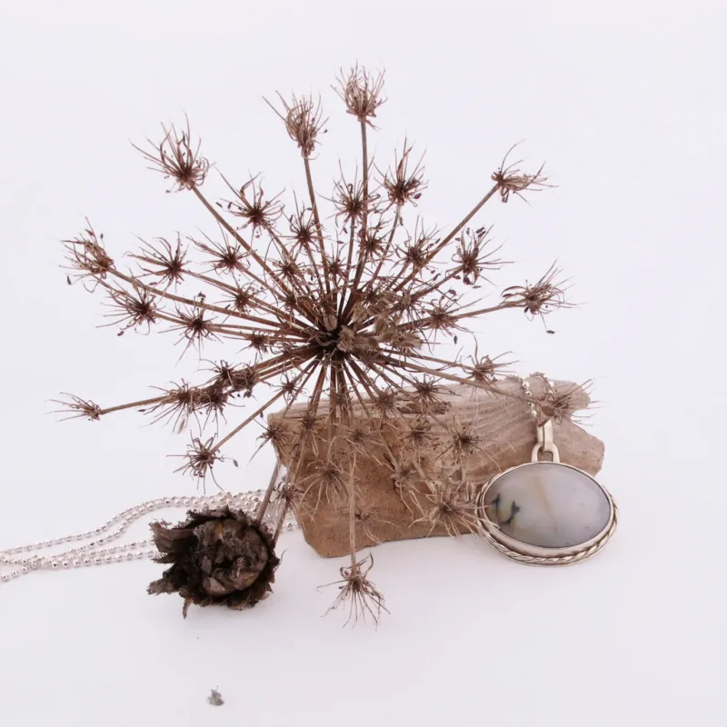 En torkad vildblomma, en sten, en vissnad tallkotte och silverhalsbandet "Halsband med handslipad Kalcedon" är arrangerade tillsammans mot en vit bakgrund.