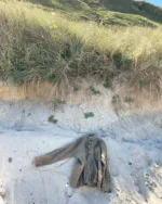 GIA Linneskjorta en rak avslappnad modell, en brun linneskjorta, vilar på sandig mark vid foten av en gräsbevuxen sanddyn under en klar himmel.