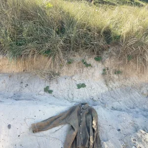 GIA Linneskjorta en rak avslappnad modell, en brun linneskjorta, vilar på sandig mark vid foten av en gräsbevuxen sanddyn under en klar himmel.
