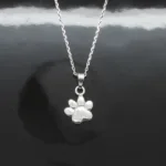 Ett silverhalsband med ett hänge i form av ett tassavtryck från ett djur, mot en glänsande svart bakgrund.