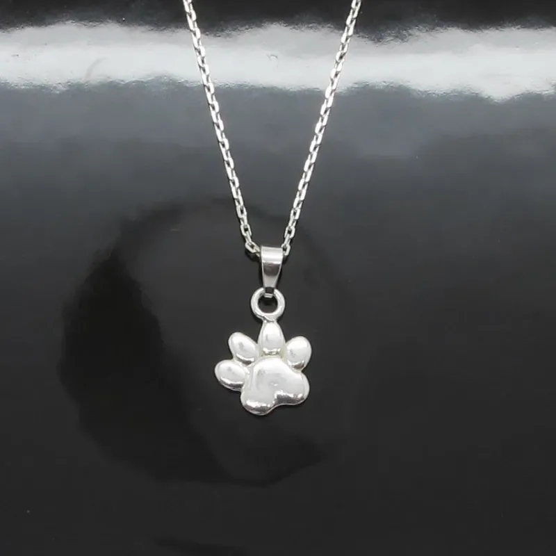 Ett silverhalsband med ett hänge i form av ett tassavtryck från ett djur, mot en glänsande svart bakgrund.