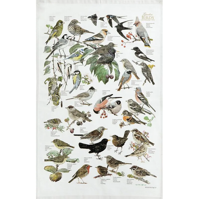 IMG_1958 Vintage illustrated poster of garden birds with labeled species perched on branches and berries.