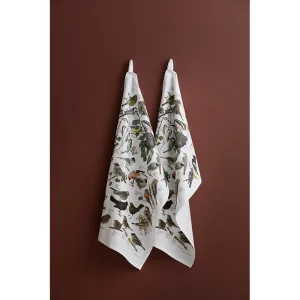 Two white towels with a colorful bird illustration hang on a brown wall.