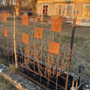 Decorative orange metal fence with paw-print panels surrounding a raised garden bed; a house and parked car are visible in the background at sunset.